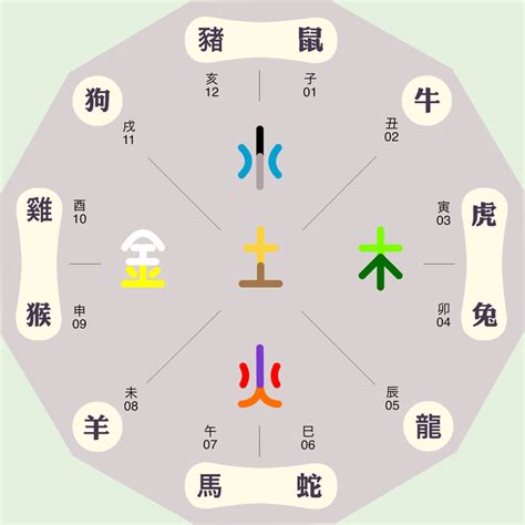 马的五行|马字的五行属性